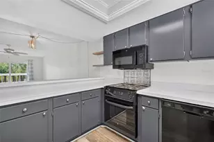 101 N Grandview St, Mount Dora, FL 32757 - Photo 9