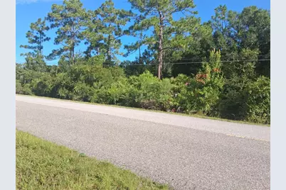 Starry Street, Orlando, FL 32833 - Photo 1