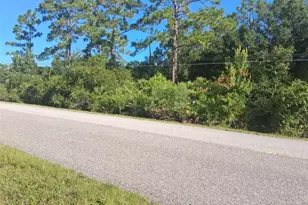 Starry St, Orlando, FL 32833 - Photo 1