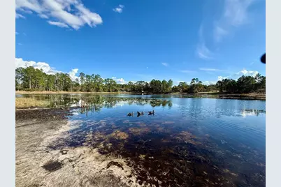 39627 Greenbrier Street, Eustis, FL 32736 - Photo 37