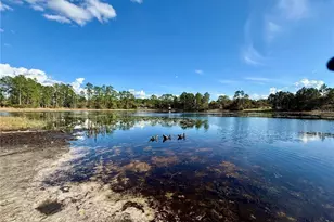 39627 Greenbrier St, Eustis, FL 32736 - Photo 37