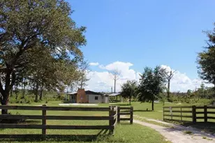 39627 Greenbrier St, Eustis, FL 32736 - Photo 39