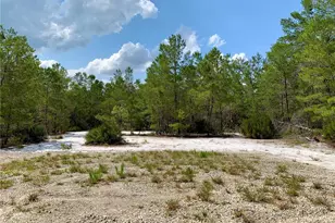 39627 Greenbrier St, Eustis, FL 32736 - Photo 47