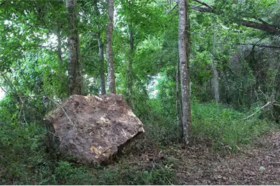 Tbd Cr 526, Sumterville, FL 33585 - Photo 17