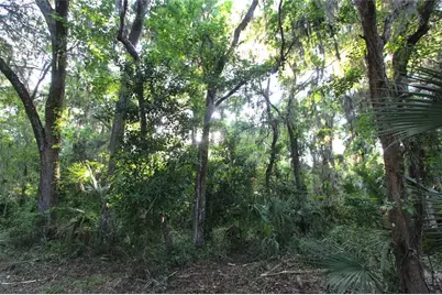 Tbd Cr 526, Sumterville, FL 33585 - Photo 39