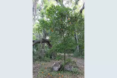 Tbd Cr 526, Sumterville, FL 33585 - Photo 21