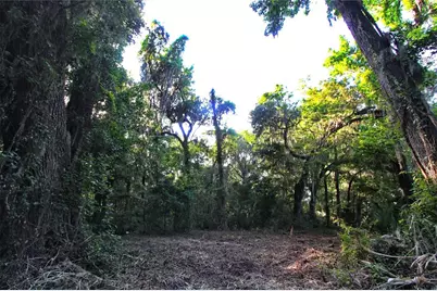 Tbd Cr 526, Sumterville, FL 33585 - Photo 29
