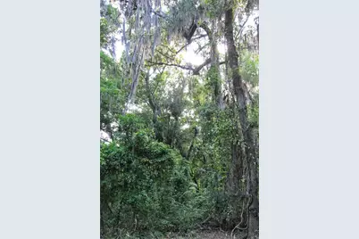 Tbd Cr 526, Sumterville, FL 33585 - Photo 23