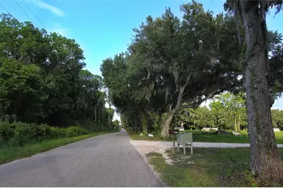 Tbd Cr 526, Sumterville, FL 33585 - Photo 5