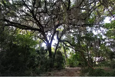 Tbd Cr 526, Sumterville, FL 33585 - Photo 35