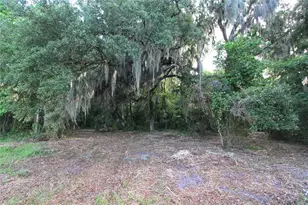 Tbd Cr 526, Sumterville, FL 33585 - Photo 1