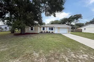 904 Hickory Ave, Fruitland Park, FL 34731 - Photo 1