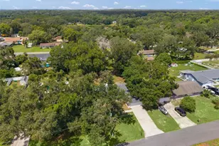 36127 Pinetree St, Fruitland Park, FL 34731 - Photo 43