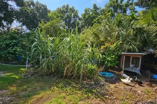 16800 SE 249th Terrace, Umatilla, FL 32784 - Photo 37