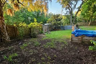 16800 SE 249th Terrace, Umatilla, FL 32784 - Photo 39