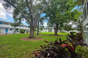 8454 111th St, Seminole, FL 33772 - Photo 17