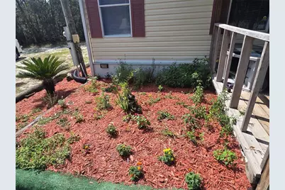 27016 Fishermans Road, Paisley, FL 32767 - Photo 9