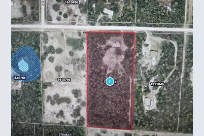 27016 Fishermans Road, Paisley, FL 32767 - Photo 59