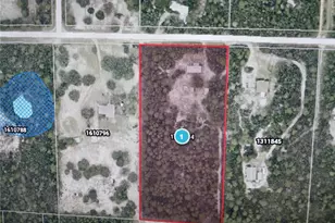 27016 Fishermans Rd, Paisley, FL 32767 - Photo 59