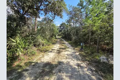 27016 Fishermans Road, Paisley, FL 32767 - Photo 7