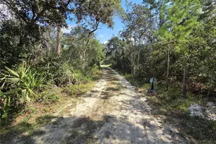 27016 Fishermans Rd, Paisley, FL 32767 - Photo 7