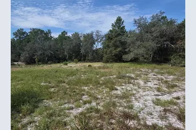 27016 Fishermans Road, Paisley, FL 32767 - Photo 21