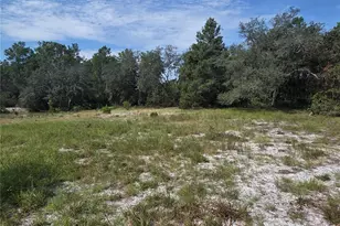 27016 Fishermans Rd, Paisley, FL 32767 - Photo 21