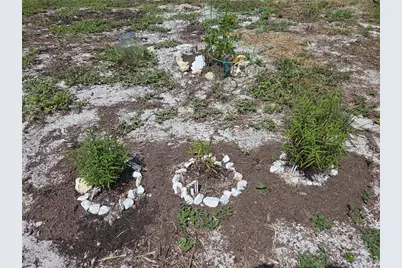 27016 Fishermans Road, Paisley, FL 32767 - Photo 11