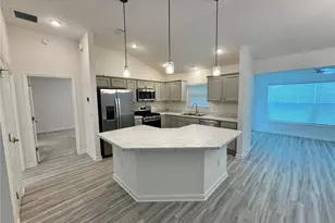 528 Cherry Creek Wy, The Villages, FL 34762 - Photo 3