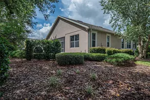 134 Flame Vine Way, Groveland, FL 34736 - Photo 63