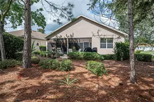 134 Flame Vine Way, Groveland, FL 34736 - Photo 61
