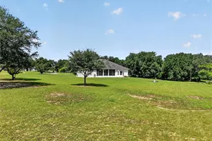 32542 Scenic Hills Dr, Mount Dora, FL 32757 - Photo 5