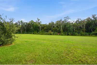 20043 Royal Tern Court, Leesburg, FL 34748 - Photo 49