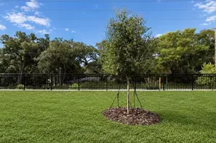 20332 Lavender Bloom Loop, Mount Dora, FL 32757 - Photo 11