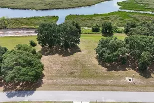 Royal Palm Dr, Groveland, FL 34736 - Photo 1