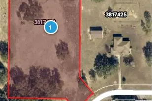 Sweetwood Ln, Clermont, FL 34711 - Photo 1