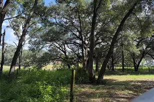 11324 Em En El Grove Rd, Leesburg, FL 34788 - Photo 7
