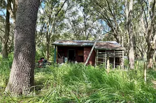 11324 Em En El Grove Rd, Leesburg, FL 34788 - Photo 5