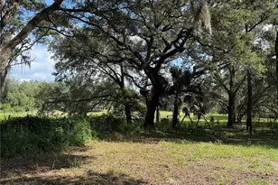 11324 Em En El Grove Rd, Leesburg, FL 34788 - Photo 3