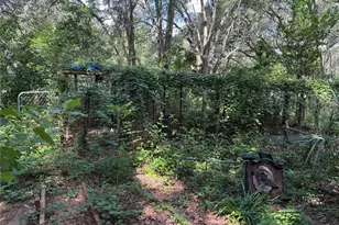 11324 Em En El Grove Rd, Leesburg, FL 34788 - Photo 11