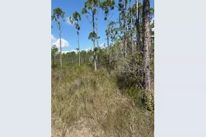 37610 Oaklee Road, Umatilla, FL 32784 - Photo 9