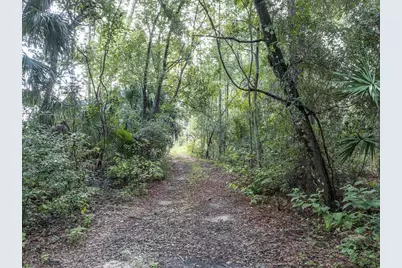 37610 Oaklee Road, Umatilla, FL 32784 - Photo 19