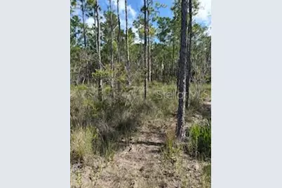 37610 Oaklee Road, Umatilla, FL 32784 - Photo 7