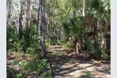 37610 Oaklee Road, Umatilla, FL 32784 - Photo 13