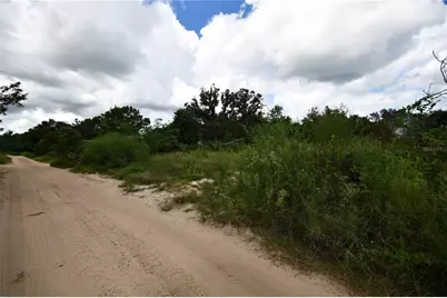 Se 144th Lane, Umatilla, FL 32784 - Photo 3