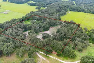 4457 Cr 542H, Bushnell, FL 33513 - Photo 71