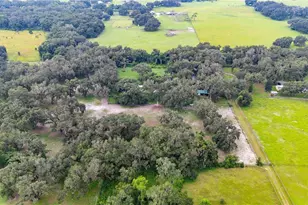4457 Cr 542H, Bushnell, FL 33513 - Photo 69