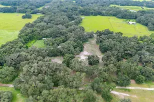 4457 Cr 542H, Bushnell, FL 33513 - Photo 73