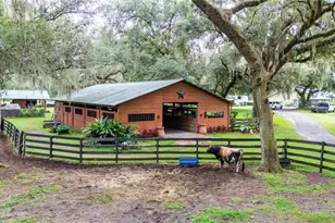 4457 Cr 542H, Bushnell, FL 33513 - Photo 87