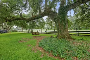 4457 Cr 542H, Bushnell, FL 33513 - Photo 61